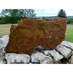 Large End Cut of Maury Mountain Moss‎ Agate 9.6oz